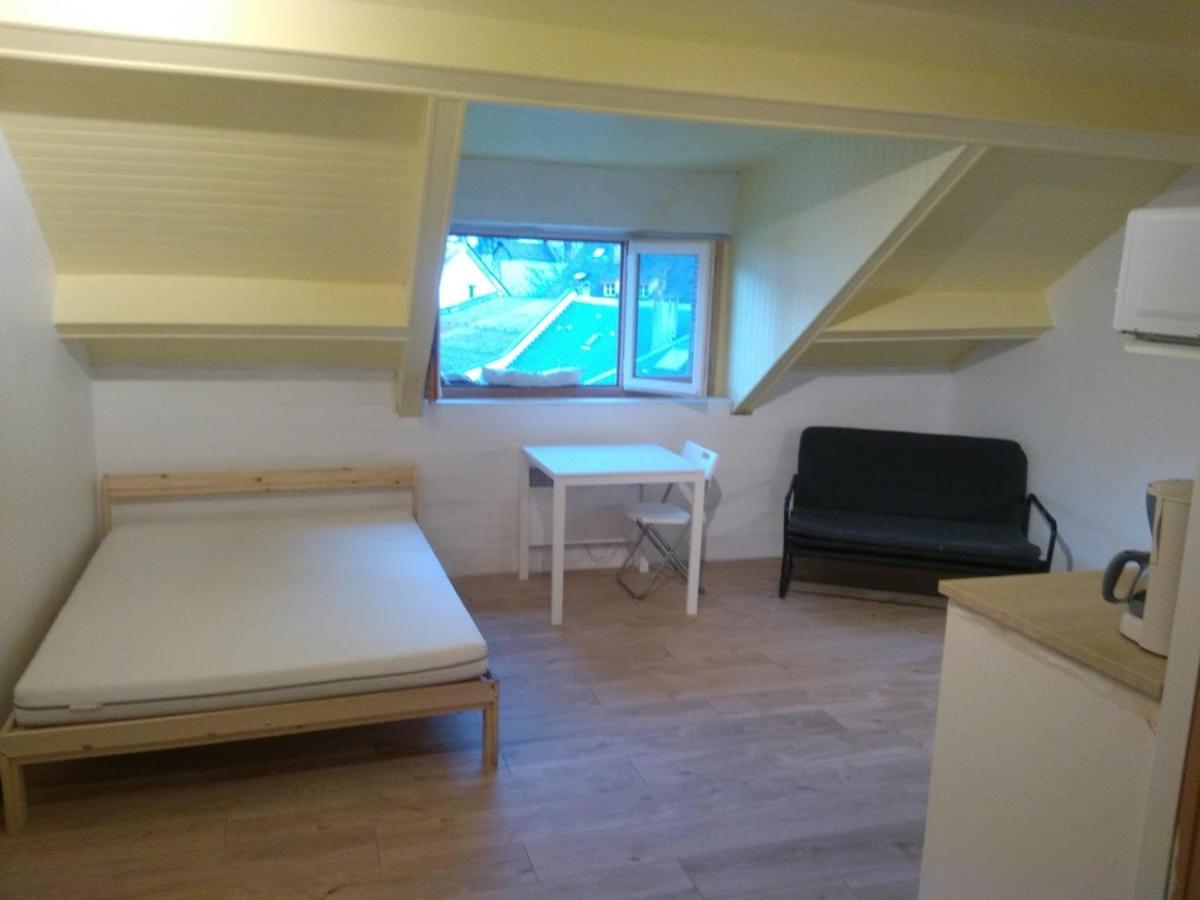 Studio Center Bourg D'Oisans Le Bourg-d'Oisans Bagian luar foto